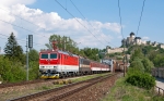 361001-363093_R708-DUBEN_Zlatovce_02052012.jpg